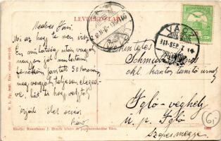 1911 Vác, Látkép a Dunával, dunai uszoda. W.L. Bp. 5087. 1911-13. Rosenbaum J. Henrik kiadása (EK)