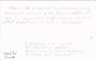 Érsekújvár, Nové Zámky; A ledöntött Kossuth-szobor, majd Országzászló talapzata a Szent József temet...