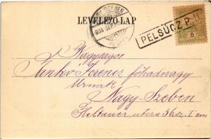 1904 Rozsnyó, Roznava; látkép. Falvi Jenő kiadása / general view