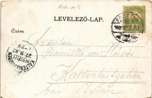 1902 Pozsony, Pressburg, Bratislava; vár, gőzhajó / castle, steamship. Schneider & Lux (kopott s...