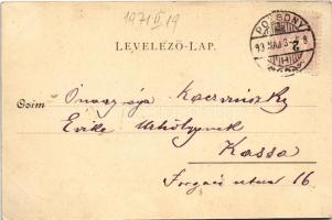 1899 (Vorläufer) Pozsony, Pressburg, Bratislava; vár, gőzhajó. Schmidt Edgar kiadása / castle, steam...