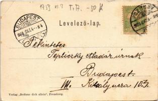 1903 Pozsony, Pressburg, Bratislava; vár. Verlag "Bediene dich allein" / castle (EB)