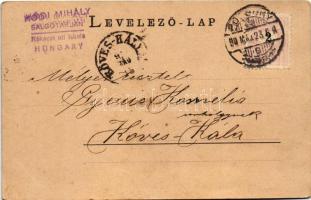 1899 (Vorläufer) Pozsony, Pressburg, Bratislava; vár, vasúti híd / castle, railway bridge (r)