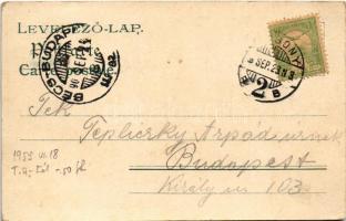 1903 Pozsony, Pressburg, Bratislava; Sétatér, villamos, vár / promenade, tram, castle. Heliocolorkar...