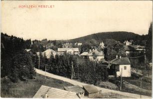 Borszék, Borsec; látkép, utca részlet. Pollatschek Gyula kiadása / general view