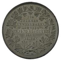 1849 k. "Kossuth Lajos és Bem József közös küzdelme a szent magyar szabadságért" német nye...