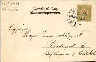 1904 Újvidék, Novi Sad; Pétervárad vár, híd. Milan Ivkovic kiadása / Grad Petrovaradin / Festung Pet...