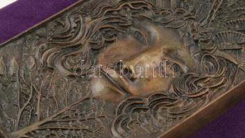 Rácz Edit (1936- ): Tavasz. Bronz, bársonnyal bevont fára applikálva. Jelzett, számozott (10/I.), 21...