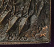 Rácz Edit (1936- ): Tavasz. Bronz, bársonnyal bevont fára applikálva. Jelzett, számozott (10/I.), 21...