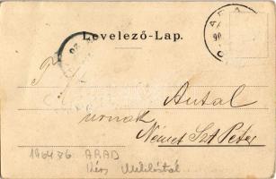 1903 Arad, Vértanú szobor, Löwy Herman, Krausz Lajos üzlete. Kerpel Izsó kiadása / monument, shops (...