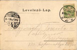 1903 Arad, Vértanú szobor, Löwy Herman, Krausz Lajos üzlete. Kerpel Izsó kiadása / monument, shops (...