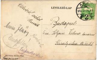 1913 Arad, Vértanú szobor, Schwarz Testvérek, Weigl Adolf és Társa üzlete. Pichler Sándor kiadása / ...