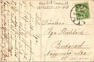 1909 Arad, Vesztőhely. Pichler Sándor kiadása / monument (fa)