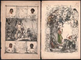 cca 1850 18 db elsősorban állatokat ábrázoló illusztráció, színezett acélmetszet, papír, részben foltos és kissé sérült, 24x16 cm