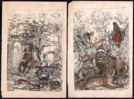 cca 1850 18 db elsősorban állatokat ábrázoló illusztráció, színezett acélmetszet, papír, részben fol...