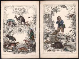 cca 1850 18 db elsősorban állatokat ábrázoló illusztráció, színezett acélmetszet, papír, részben fol...