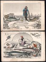 cca 1850 18 db elsősorban állatokat ábrázoló illusztráció, színezett acélmetszet, papír, részben fol...