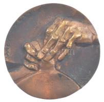 Mladonyiczky Béla (1936-1995) 1987. Alföldi Porcelángyár hódmezővásárhelyi majolikagyára 1912-1987 öntött, kétoldalas bronz plakett (88mm) T:XF