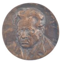 Rajki László (1939- ) 1979. Darvas Irodalmi Emlékház - 1979 Orosháza bronz plakett (77mm) T:XF