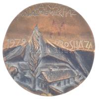 Rajki László (1939- ) 1979. "Darvas Irodalmi Emlékház - 1979 Orosháza" bronz plakett (77mm...