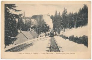 Komandó, Kommandó, Comando, Comandau; Vedere al liniei c.f. Paisele / Paisele Bahnlinie / Naruja vonalrészlet Paisele télen, iparvasút gőzmozdonya, vonat. Foto Adler Oscar / industrial railway, locomotive, train in winter (EB)