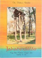 Dubecz Sándor: Jakabszállás. Egy Bács-Kiskun megyei falu tegnap és ma. A szerző, id. Dr. Dubecz Sánd...