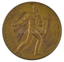 Berán Lajos (1882-1943) ~1920. Az érdem elismeréséül - A ,,Falu Országos Szövetség kétoldalas aranyozott bronz emlékérem (45mm) T:XF patina