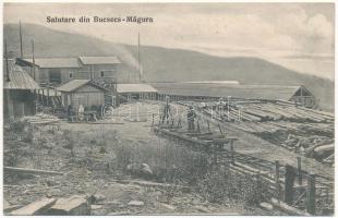 1913 Magura (Bucsecs, Bucegi); fűrésztelep / sawmill