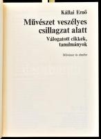 Kállai Ernő: Művészet veszélyes csillagzat alatt. Válogatott cikkek, tanulmányok. Művészet és elméle...