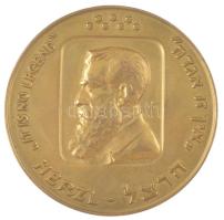 Izrael 1973. Herzl Tivadar 1948-1973 aranyozott bronz emlékérem (60mm) T:XF Israel 1973. Theodor Herzl 1948.1973 gilt bronze commemorative medallion (60mm) C:XF