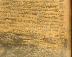 Jelzés nélkül: Margitsziget, gyógyfürdő. Rézkarc, papír. Dekoratív, kissé sérült, üvegezett fakeretb...