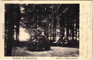 1912 Bánffyhunyad, Huedin; Részlet a Barcsay parkból. Csoma Sándor kiadása / park