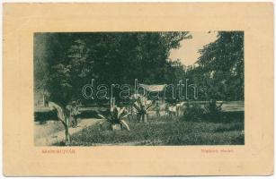 1910 Szamosújvár, Gherla; Népkerti részlet. W.L. Bp. 7040. 1910-13. Haragay Márton kiadása / park (EK)