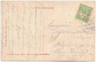 1910 Szamosújvár, Gherla; Népkerti részlet. W.L. Bp. 7040. 1910-13. Haragay Márton kiadása / park (E...
