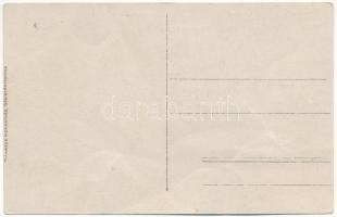 Stájerlakanina, Stájerlak, Steierdorf; Sommerfrische / Statiunea climaterica / villas. Friedrich Hol...