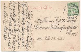 1911 Teregova, Terregova; Fő utca és elemi iskola. W.L. 1486. / Strada principala cu o scola element...