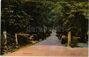 1916 Félixfürdő, Baile Felix; Sétány a vasúthoz / promenade to the railway station (EK)