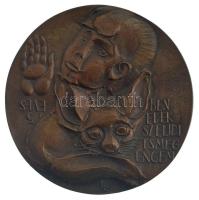 Ligeti Erika (1934-2004) DN 5 éves Benedek szelidíts meg engem bronz emlékérem (99mm) T:AU