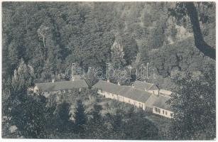 Tomest, Tamásd, Tomesti; Üveggyár, lakóházak tisztviselők és munkások részére / glass factory's houses for the officers and workers (fl)