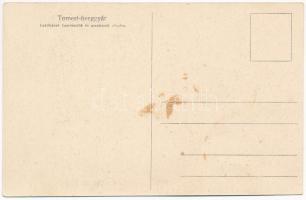 Tomest, Tamásd, Tomesti; Üveggyár, lakóházak tisztviselők és munkások részére / glass factory's...