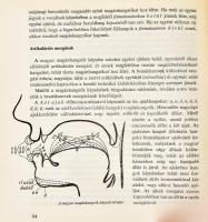 Fischer Sándor: A beszéd művészete. DEDIKÁLT! Bp.,1974, Gondolat. Harmadik kiadás. Két hanglemezzel....