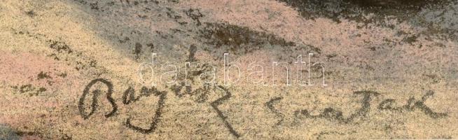 Bányász István, működött a XX. sz. első felében, 1924-ben Nagybányán tanult: Sárospataki híd. Paszte...