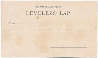 Gyulafehérvár, Karlsburg, Alba Iulia; Hauptplatz / Fő tér, Wallentin L. üzlete / main square, shop