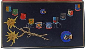 Csehszlovákia ~1970-1980. 12db klf tártai turistajelvény, közte zománcozott is, gyűjtői tokban C:UNC,AU Czechoslovakia ~1970-1980. 12pcs of diff tourist badges of the Tatra, with enameled pcs also, in collectors case C:UNC,AU