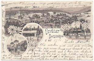 1901 Borszék, Borsec; látkép, Kossuth kút, Főkút, Remény szálloda. Gabony és Társa kiadása (Brassó) / spa, general view, spring source, well, hotel. Art Nouveau, floral, litho (EK)