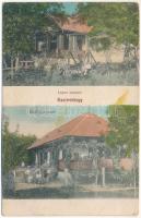 1911 Szatmárhegy, Viile Satu Mare; Lépes és Erdélyi nyaraló / villas