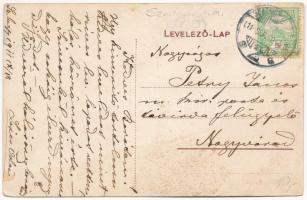 1911 Szatmárhegy, Viile Satu Mare; Lépes és Erdélyi nyaraló / villas