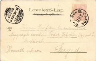 1899 (Vorläufer) Borszék, Borsec; látkép, fürdő / general view, spa. Kunstanstalt Kosmos 143. s: Gei...