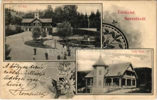 1906 Borszék, Borsec; Főkút, Villa Szini. Soós kiadása / spa, spring source, main well, villa. Art Nouveau, floral (EK)