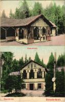 1909 Borszék, Borsec; Kossuth kút, villa. Divald Károly műintézete 1914-1908. / spa, spring source, well, villa (EK)